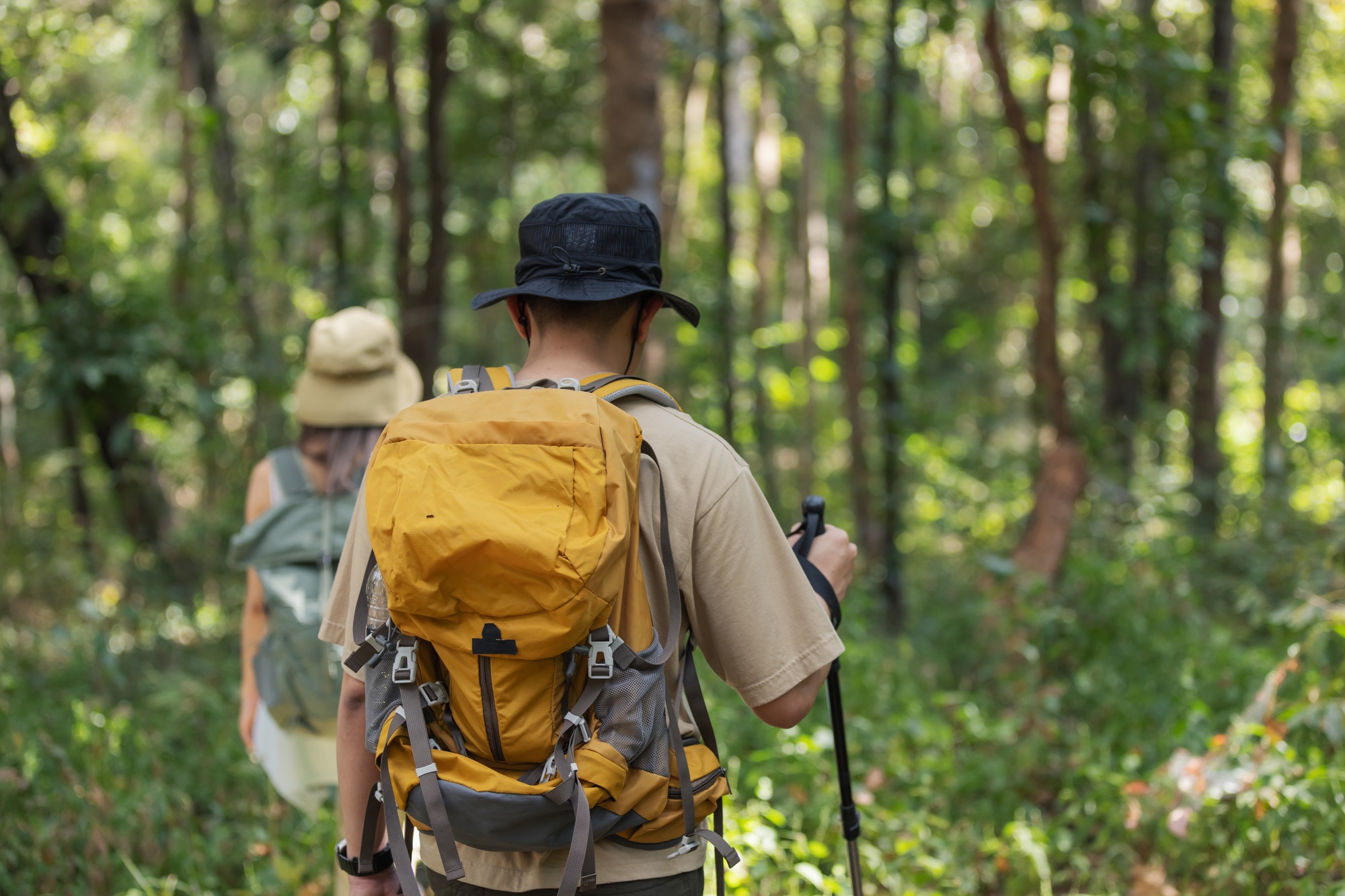 A couple hikes through a dense forest, carrying backpacks